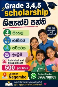 grade-3-4-5-scholarship-classes